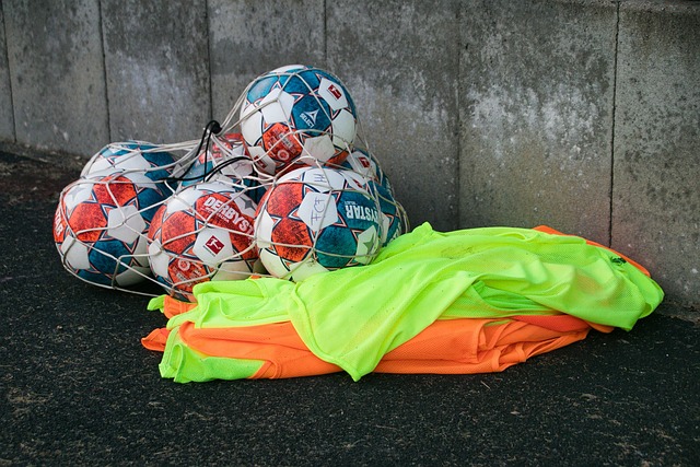 迷對其未來 迷對其未來