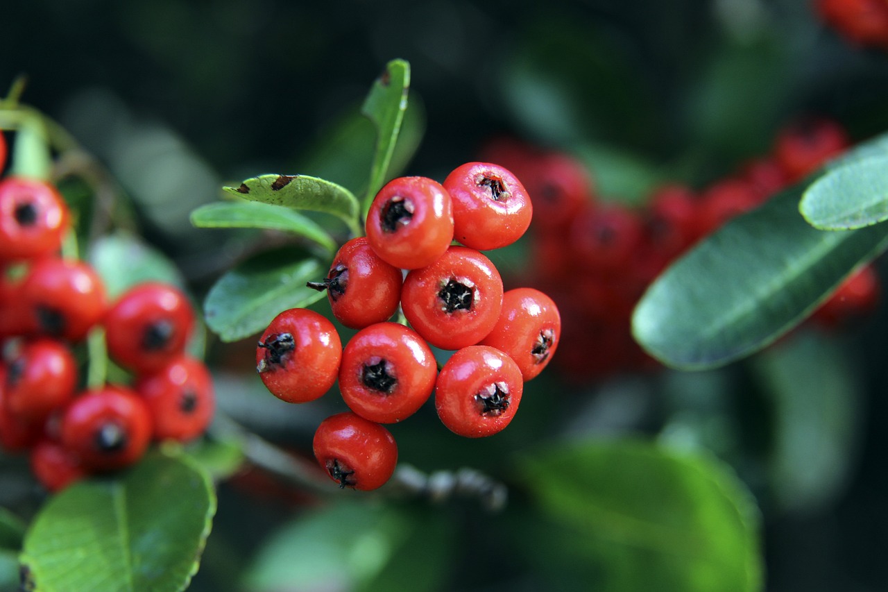 更反映出球 更反映出球