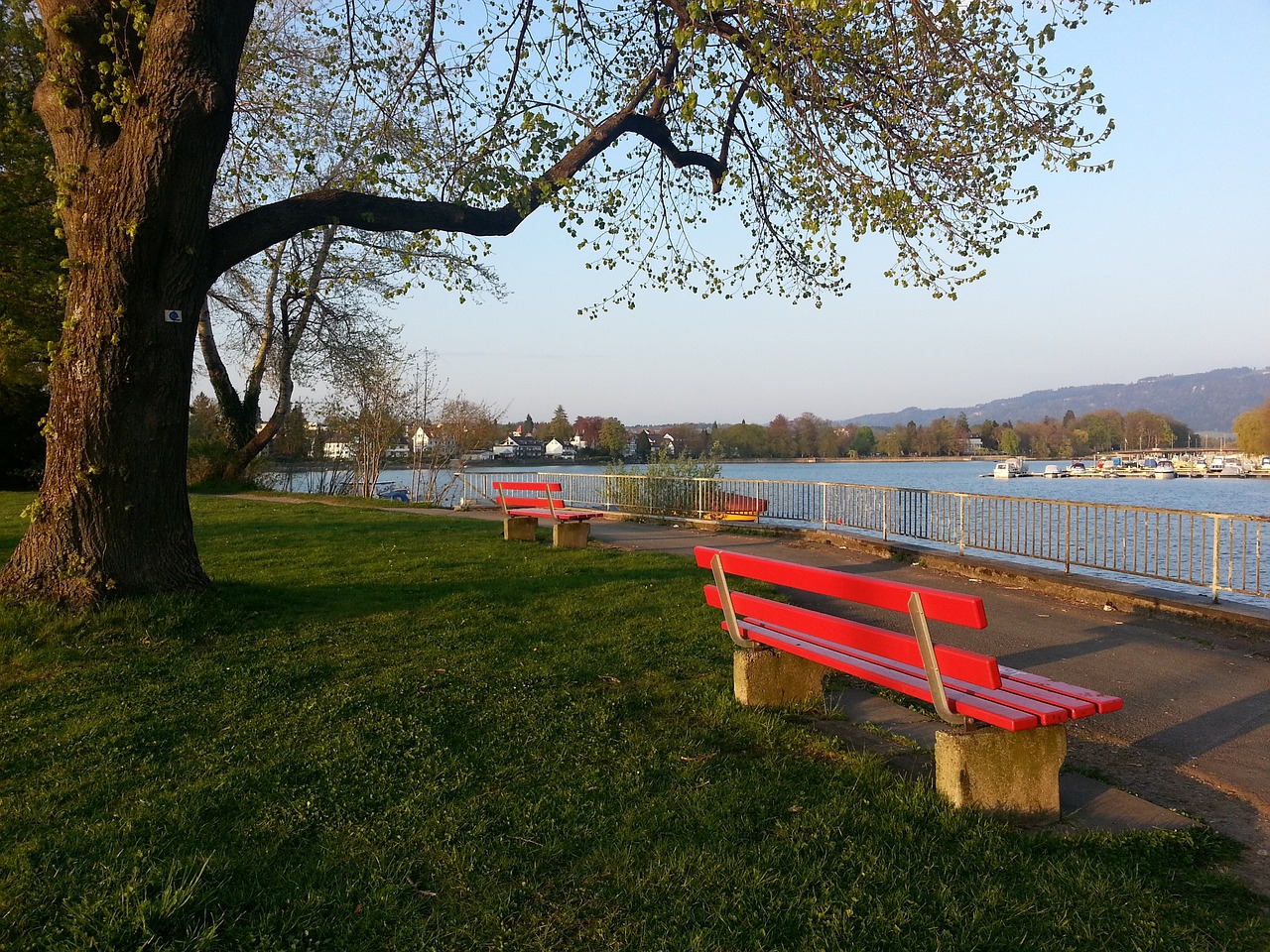 这一批评引 这一批评引