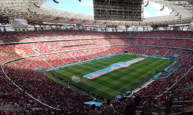 尤其是凭借 尤其是凭借