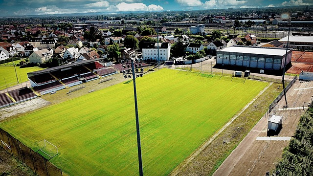 果断作出了 果断作出了