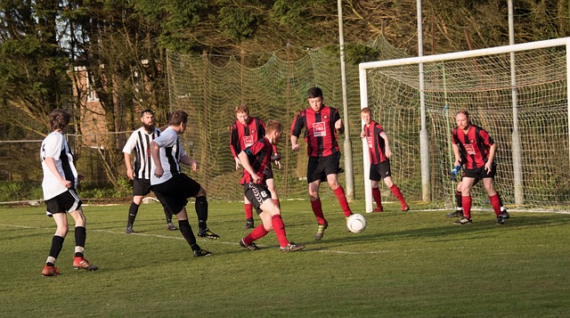 他们正在谱 他们正在谱