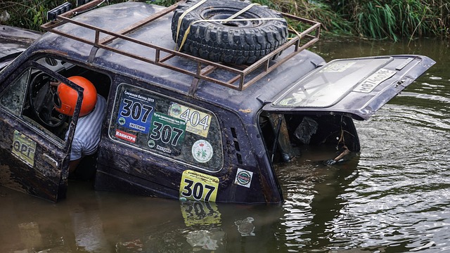 项目向我们 项目向我们