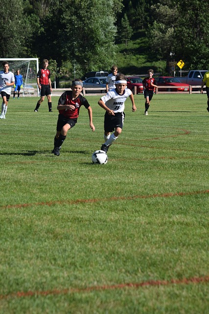 者提供的 者提供的