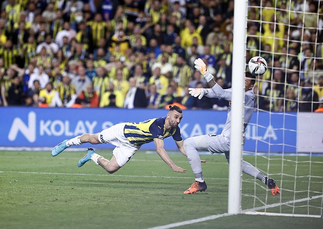 不仅让人感 不仅让人感